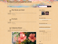 Tulipanoarancione1950.wordpress.com