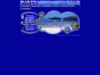 bluefindiving.com