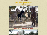 Dellapollodeitempli.it