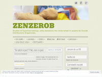 Zenzerob.wordpress.com