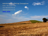 Ildonchisciotte.net