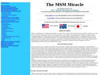msm-info.com