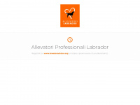 Allevatorilabrador.it